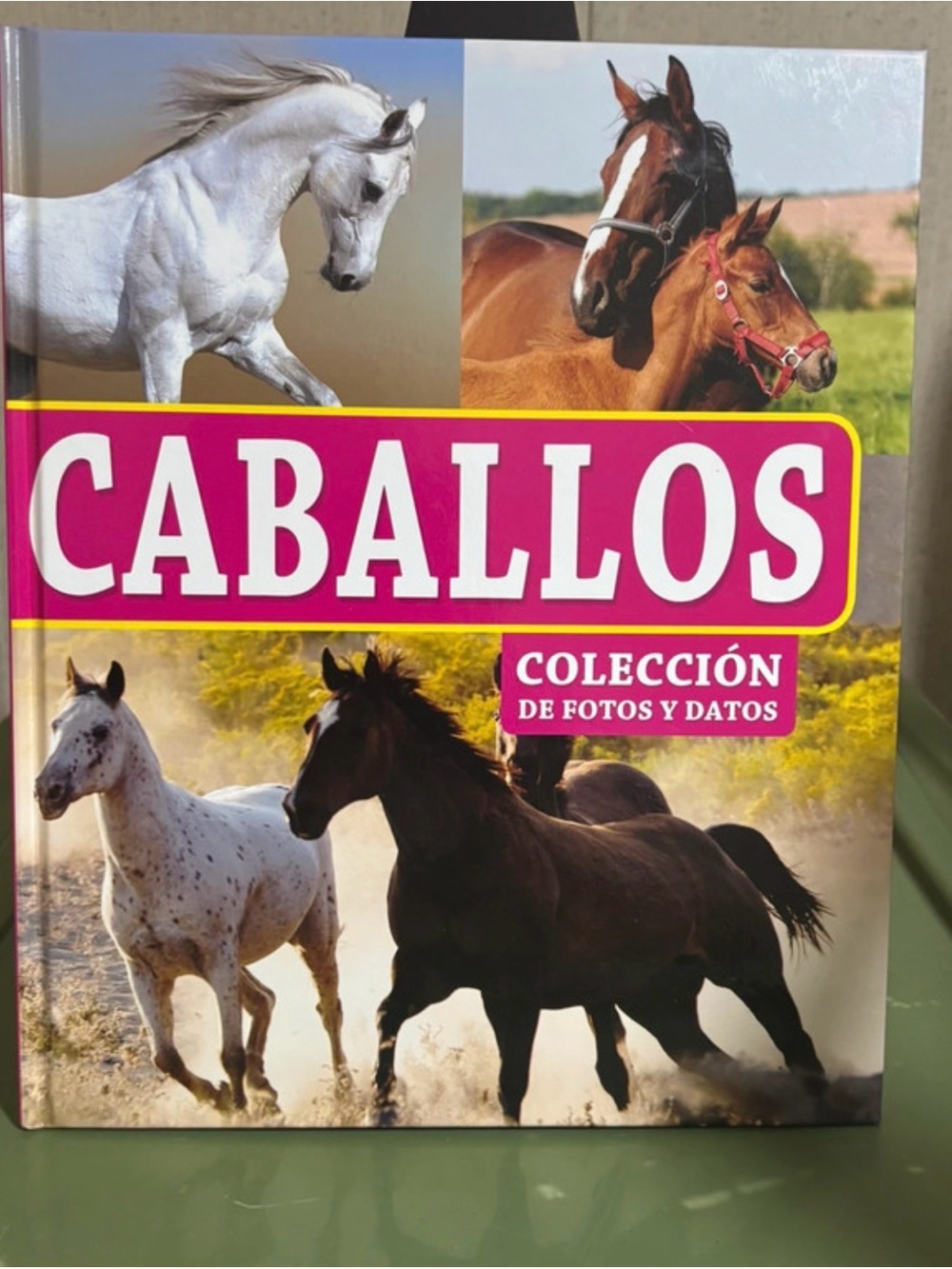 Caballos: Colección de Fotos y Datos - hardcover book.